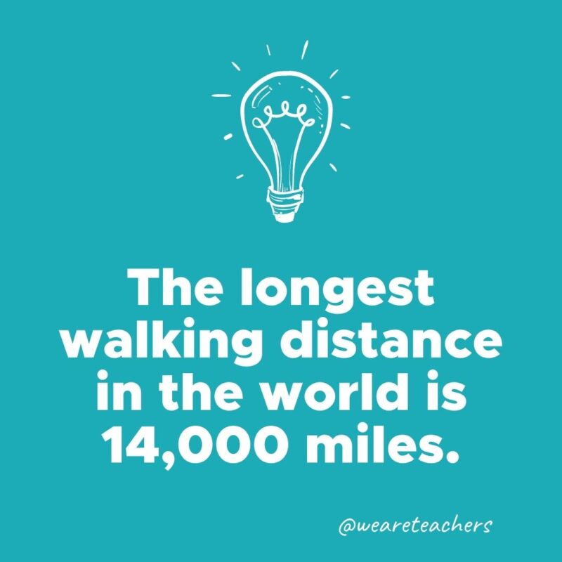 The longest walking distance in the world is 14,000 miles.- weird fun facts 