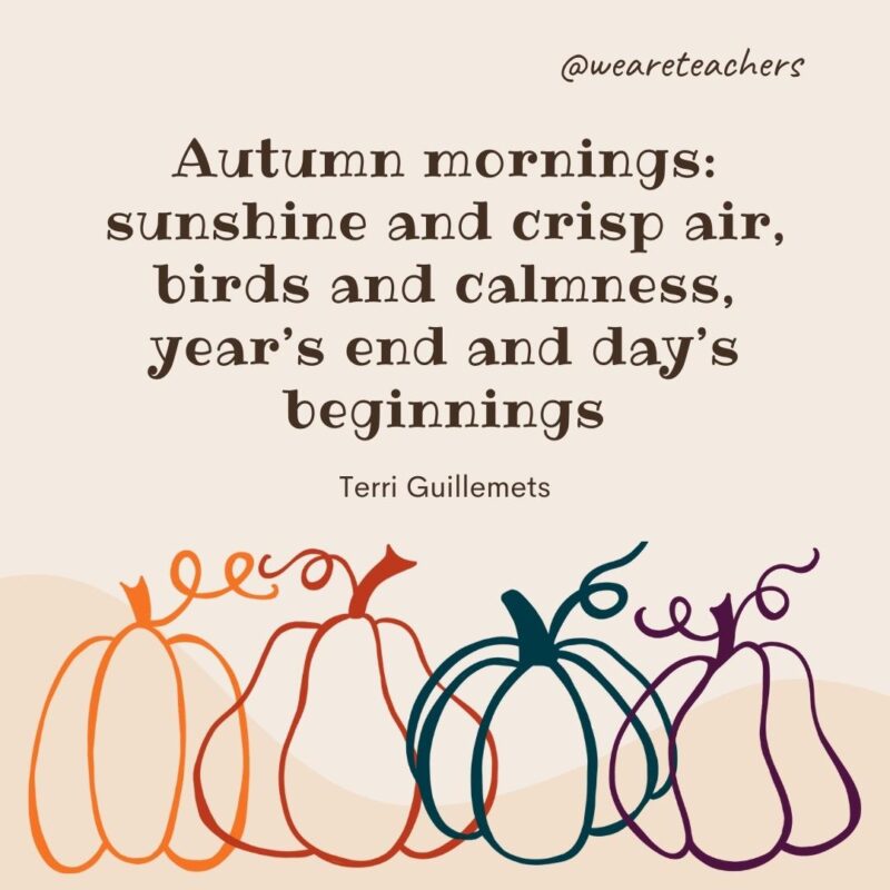 Autumn mornings: sunshine and crisp air, birds and calmness, year's end and day's beginnings.—Terri Guillemets