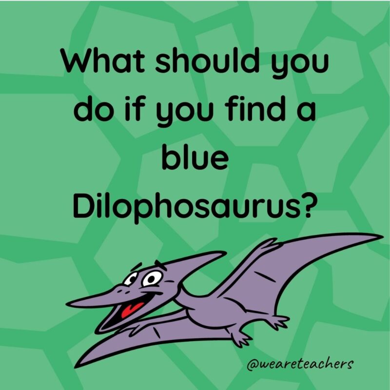Dinosaur Jokes for Kids