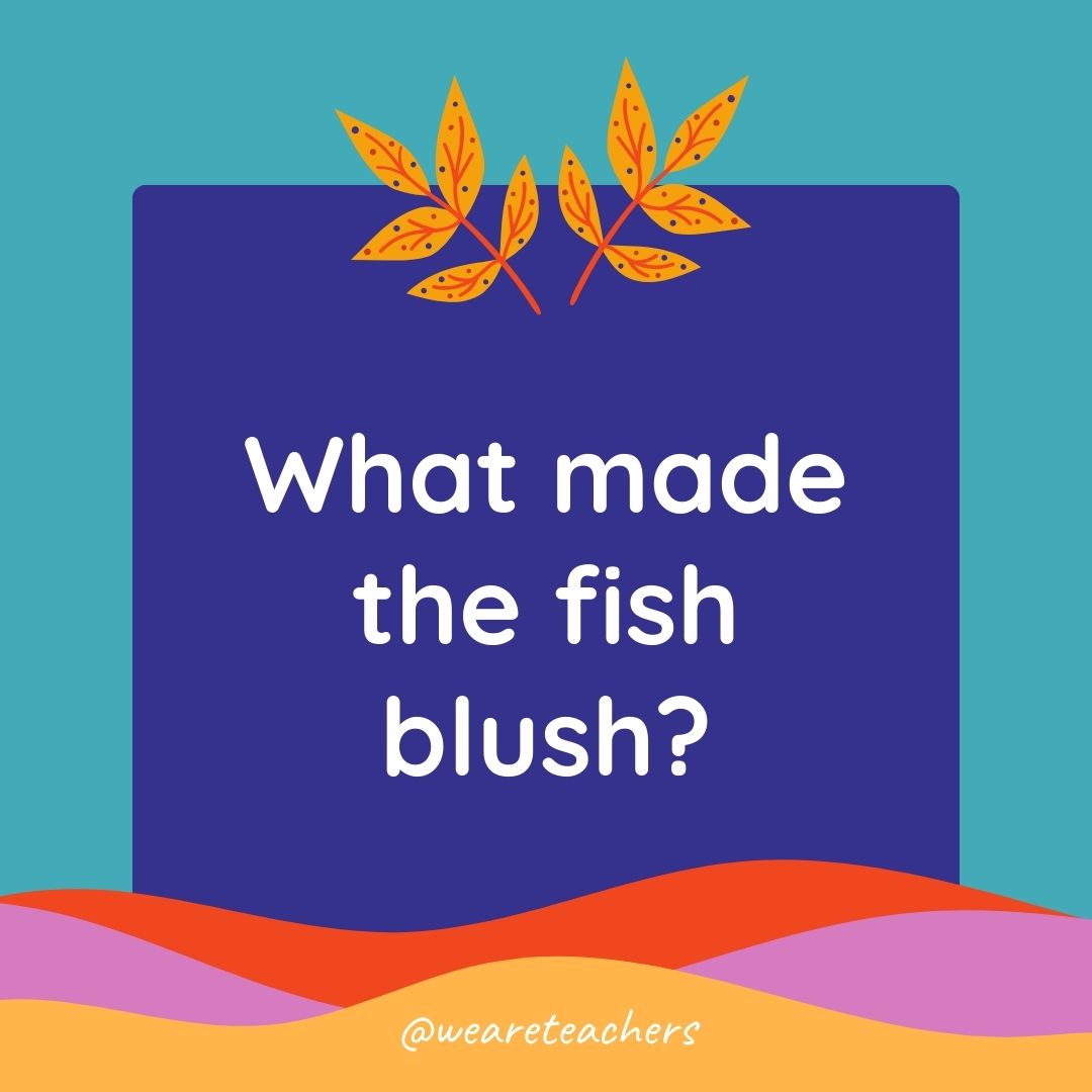 Animal Jokes for Kids