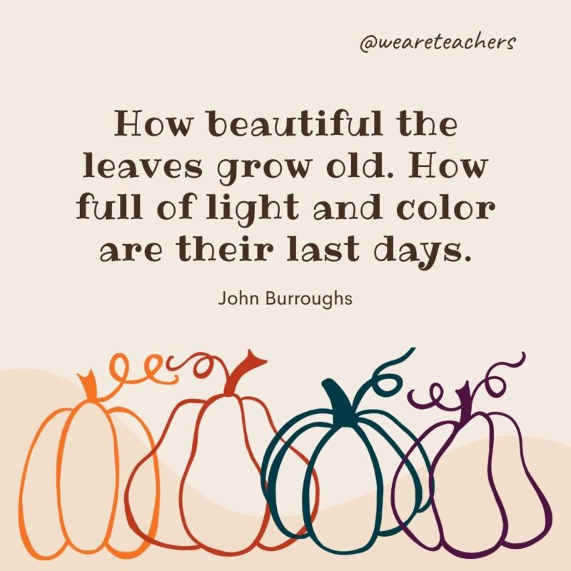 How beautiful the leaves grow old. How full of light and color are their last days. —John Burroughs- fall quotes