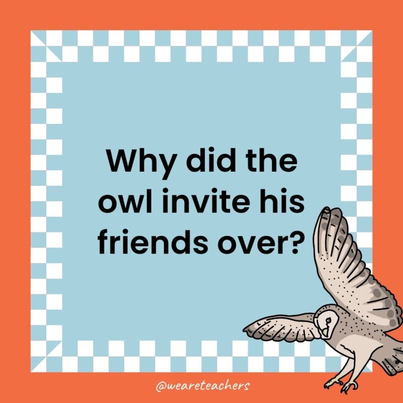 Owl Jokes for Kids a joke that states: Why did the owl invite his friends over?