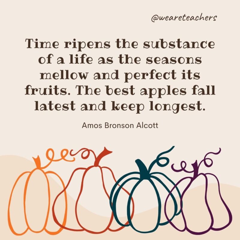 Time ripens the substance of a life as the seasons mellow and perfect its fruits. The best apples fall latest and keep longest. —Amos Bronson Alcott