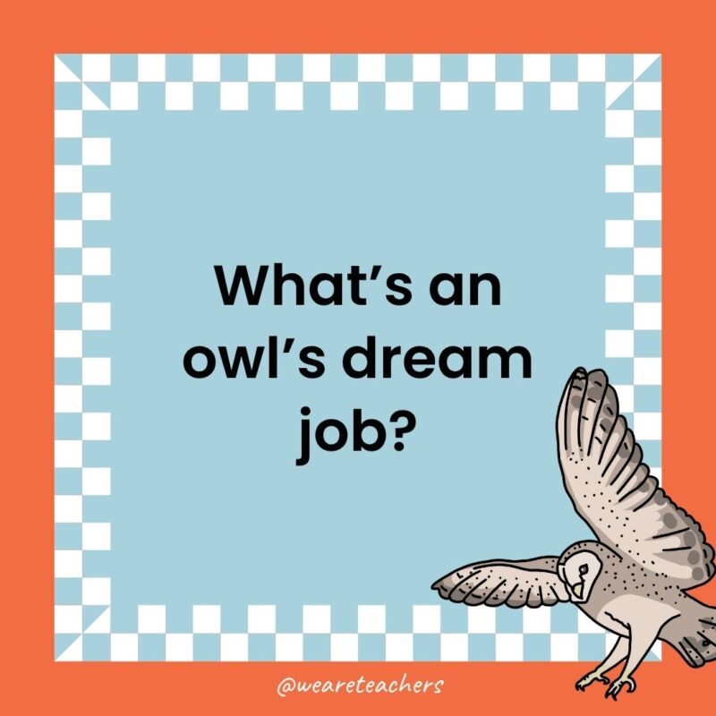 Owl Jokes for Kids a joke that states: What’s an owl’s dream job?
