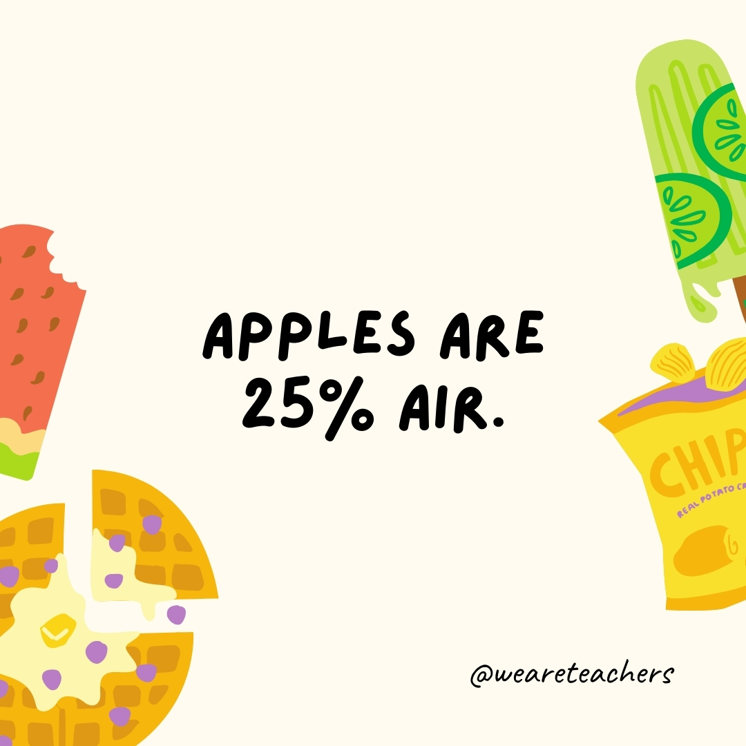 Apples are 25% air.

This is why they float in water.