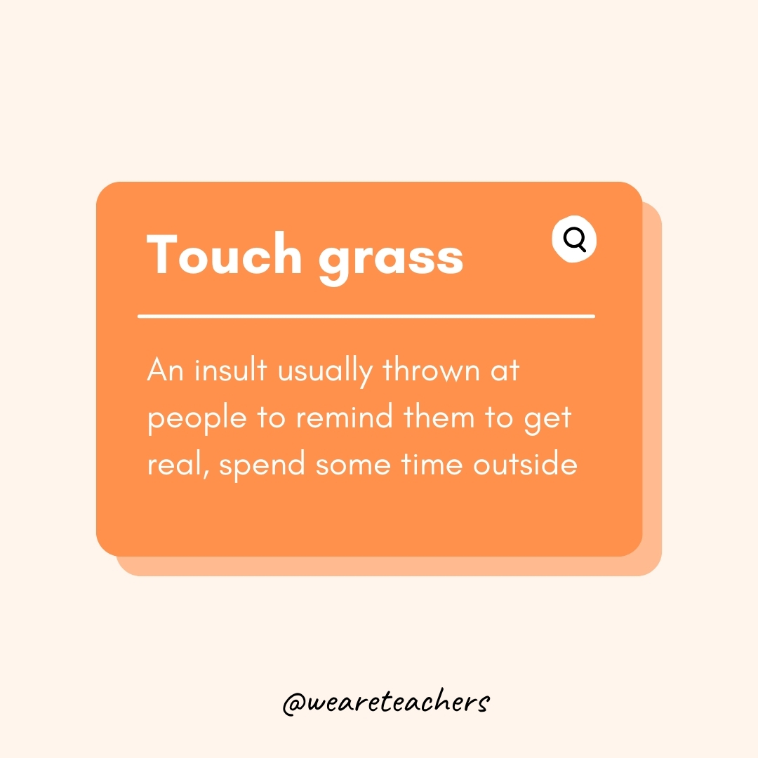 Touch grass

An insult usually thrown at people to remind them to get real, spend some time outside- Teen Slang