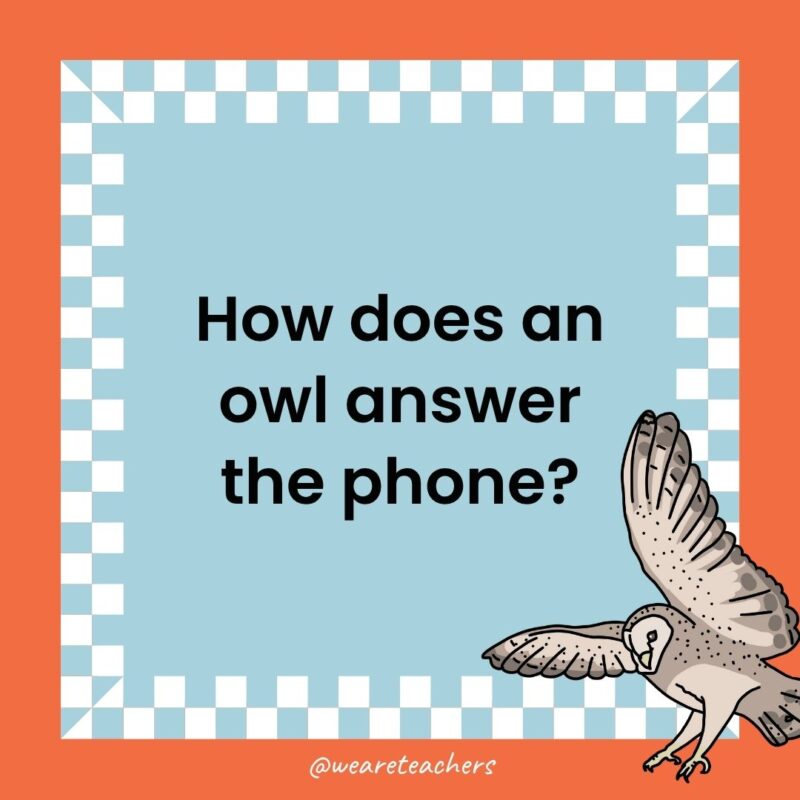 Owl Jokes for Kids a joke that states: How does an owl answer the phone?