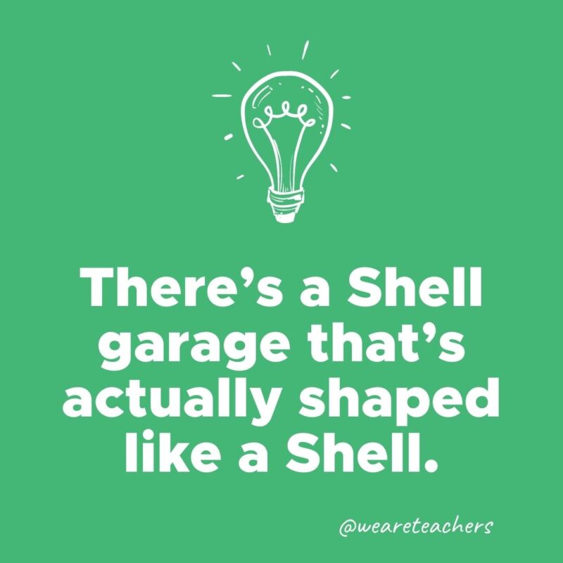 There's a Shell garage that’s actually shaped like a Shell.- weird fun facts 