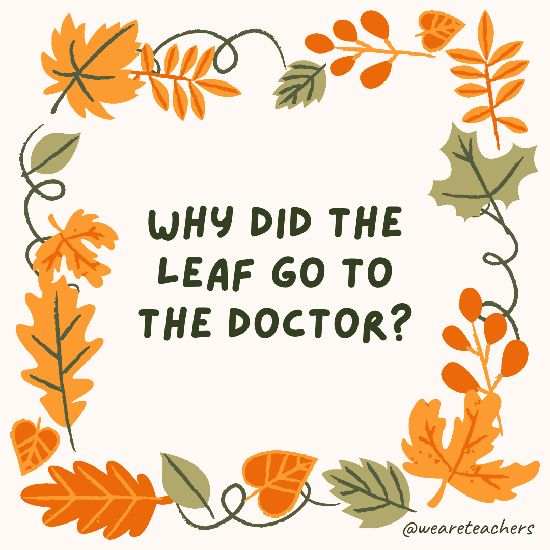 Fall Jokes an image of a fall joke surrounded by fall leaves and vines