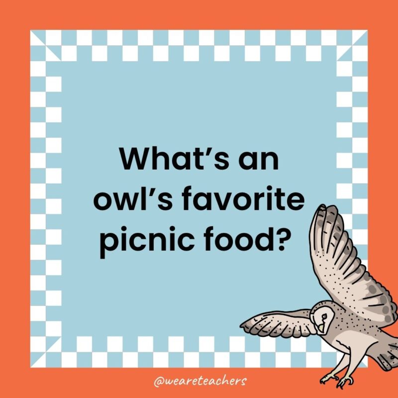 Owl Jokes for Kids a joke that states: What’s an owl’s favorite picnic food?