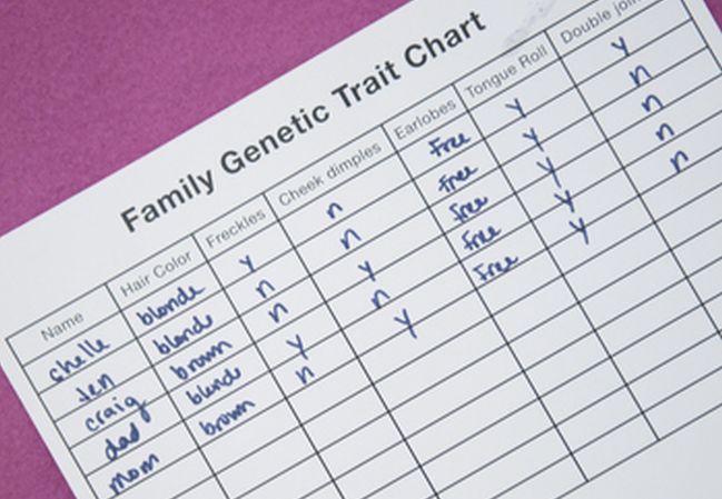 Worksheet labeled Family Genetic Trait Chart