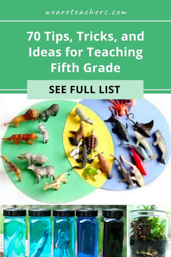 Teaching 5th grade this year? We collected the most brilliant ideas for every subject, book needs, classroom management, and more to help!