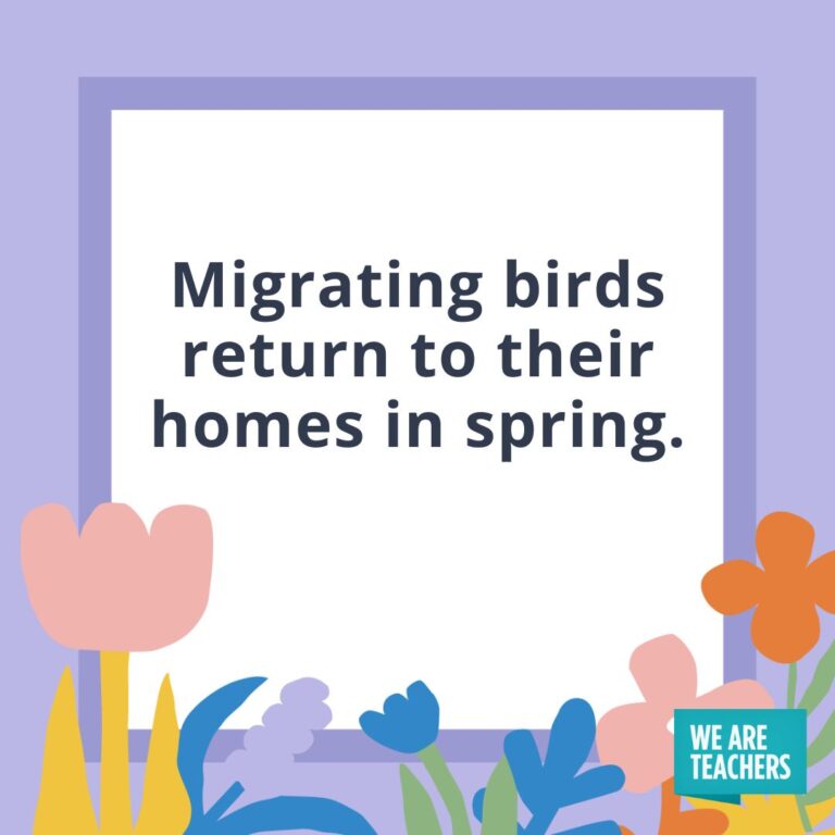 25-fun-facts-about-spring-to-brighten-your-day