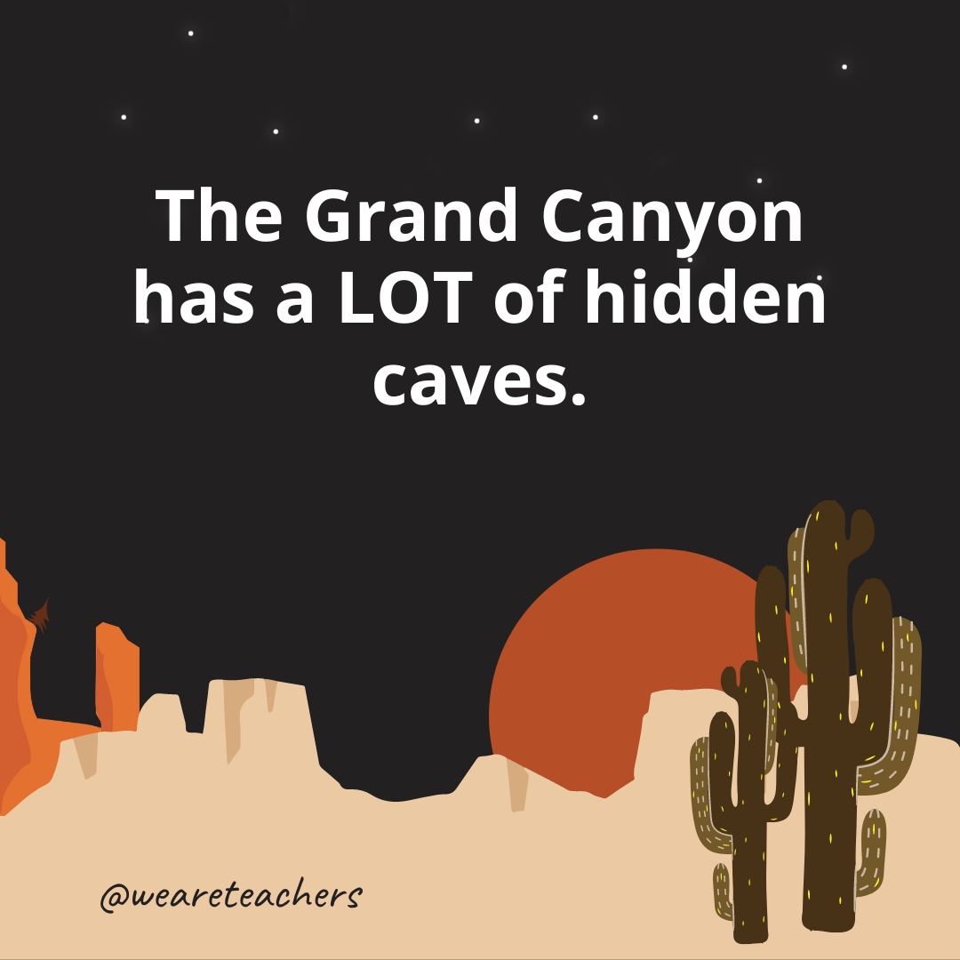 The Grand Canyon has a LOT of hidden caves.
