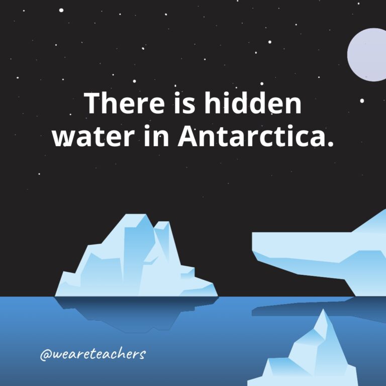 25 Fun Facts About Antarctica All Kids Should Know