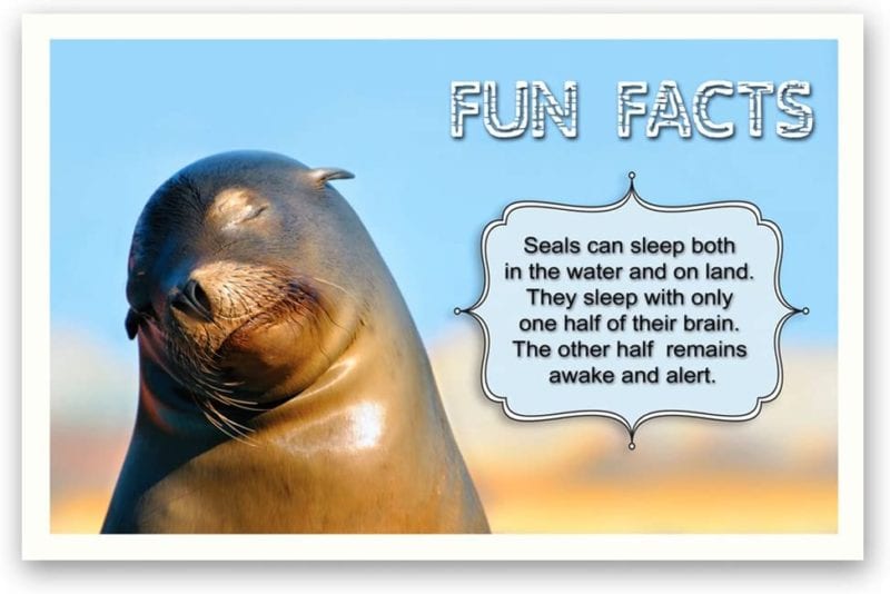 20 Free or Inexpensive Surprises You Can Send Students in the Mail Animal fun facts postcards