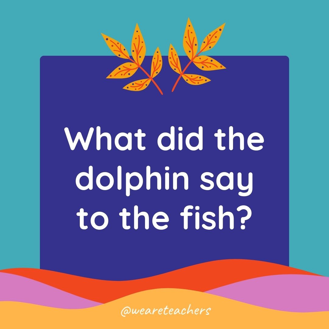 Animal Jokes for Kids