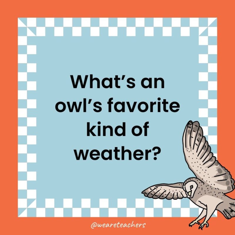 Owl Jokes for Kids a joke that states: What’s an owl’s favorite kind of weather?