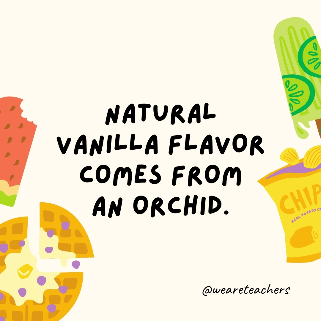 Natural vanilla flavor comes from an orchid.

The vanilla pod comes from a type of orchid plant, although much of the vanilla used today is produced synthetically.