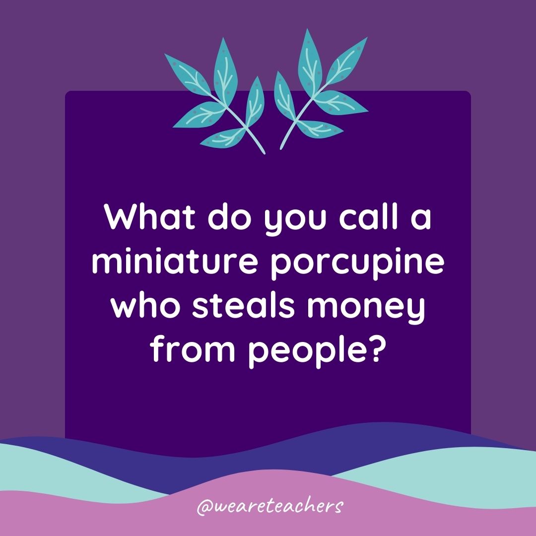 Animal Jokes for Kids