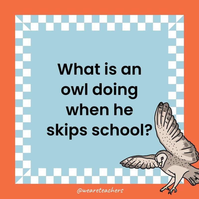Owl Jokes for Kids a joke that states: What is an owl doing when he skips school?
