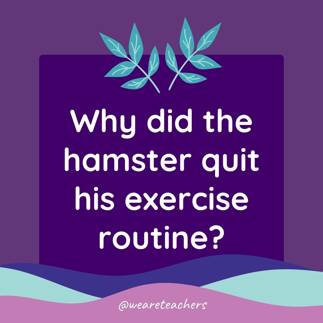 Animal Jokes for Kids