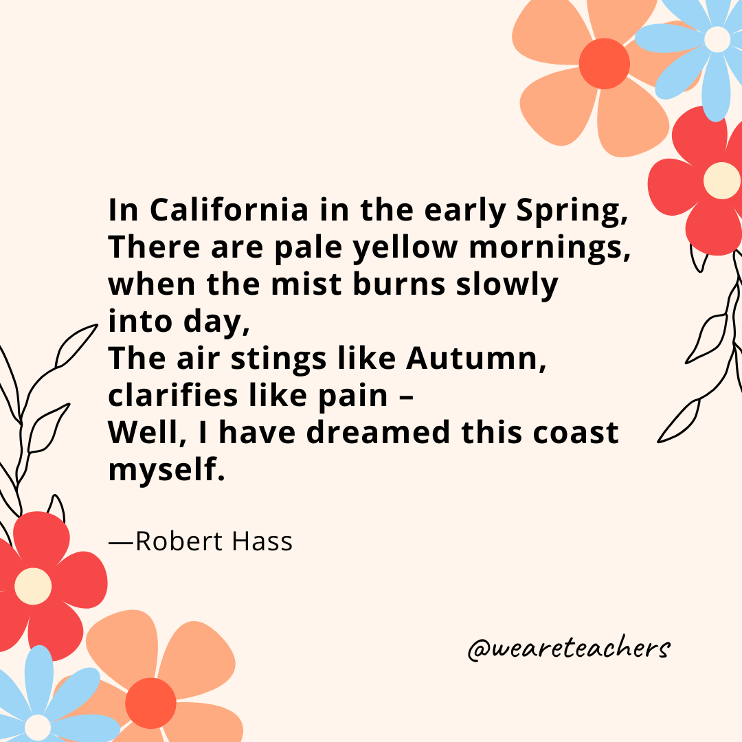 In California in the early Spring,
There are pale yellow mornings, when the mist burns slowly into day,
The air stings like Autumn, clarifies like pain -
Well, I have dreamed this coast myself. 
- Robert Hass