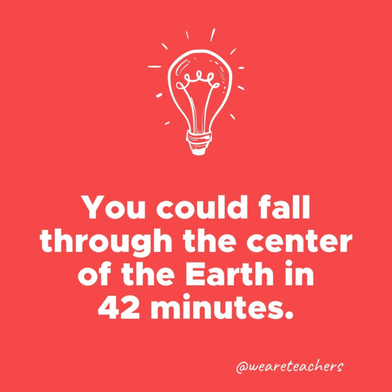 You could fall through the center of the Earth in 42 minutes.- weird fun facts