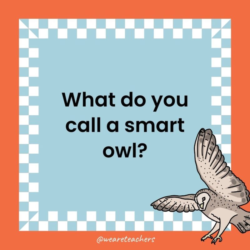 Owl Jokes for Kids a joke that states: What do you call a smart owl?