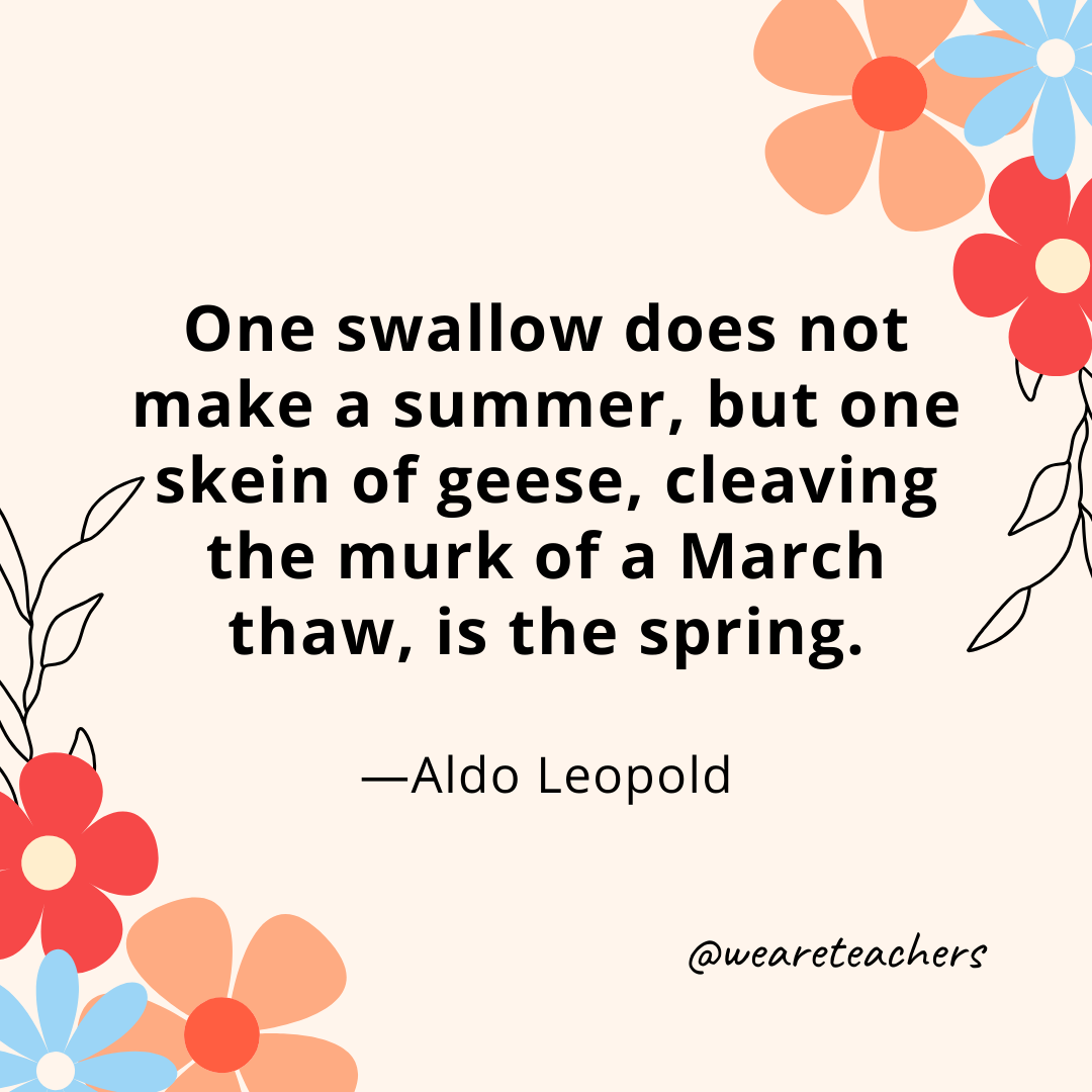 One swallow does not make a summer, but one skein of geese, cleaving the murk of a March thaw, is the spring. - Aldo Leopold