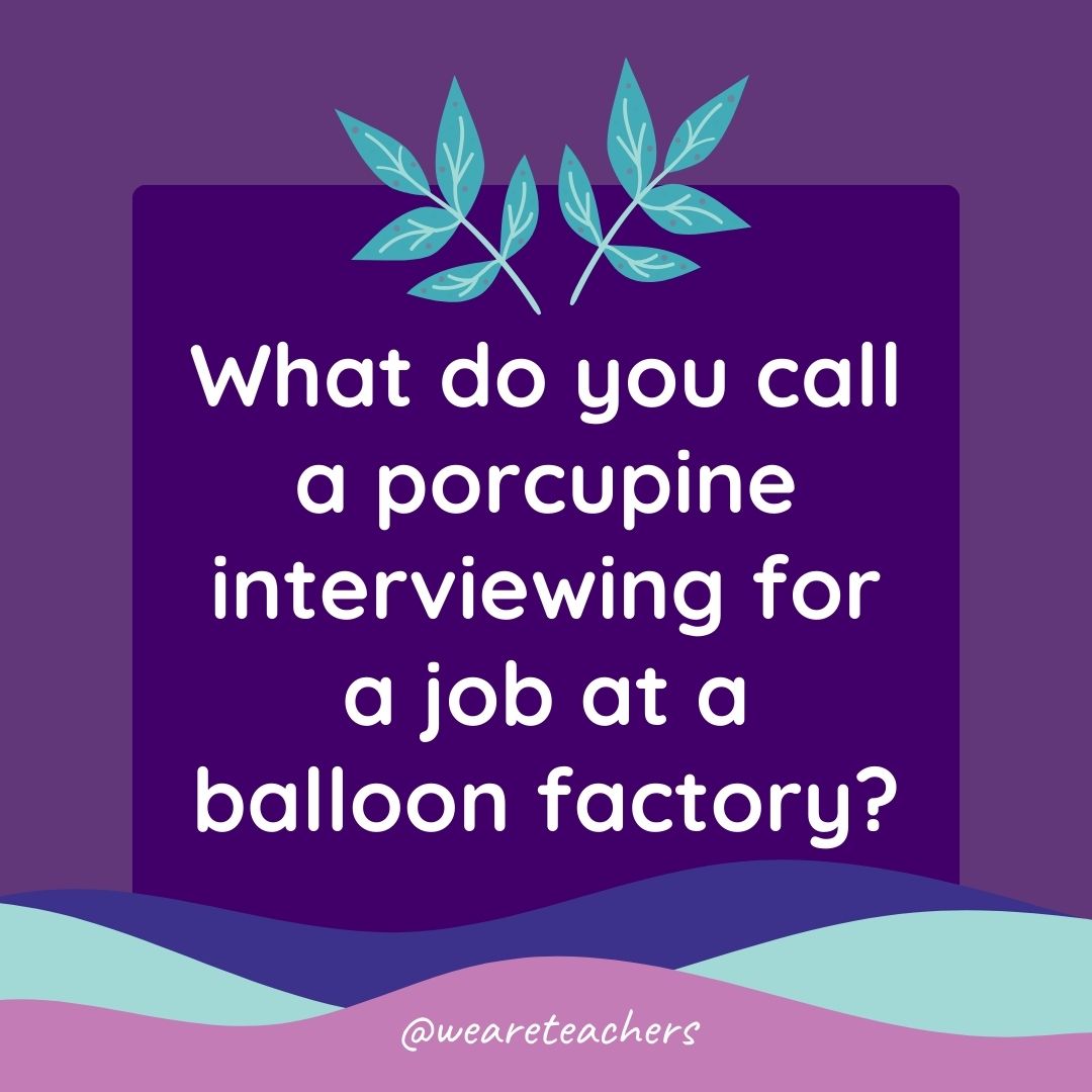 Animal Jokes for Kids