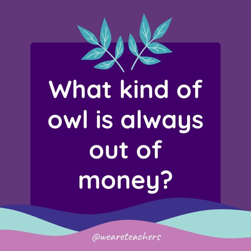 Animal Jokes for Kids