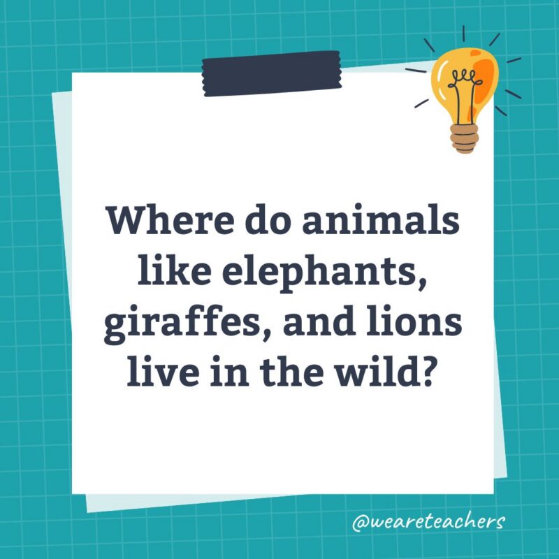 an image of a science trivia question for kids that states: Where do animals like elephants, giraffes, and lions live in the wild?