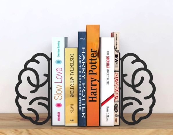 book ends shaped like brains for a gift idea for book lovers 