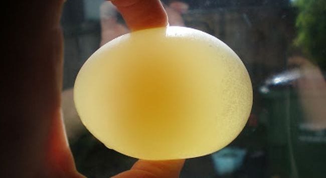 Sixth grade science student holding a raw egg without a shell