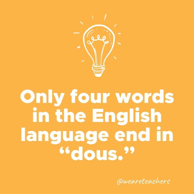 Only four words in the English language end in dous.- weird fun facts