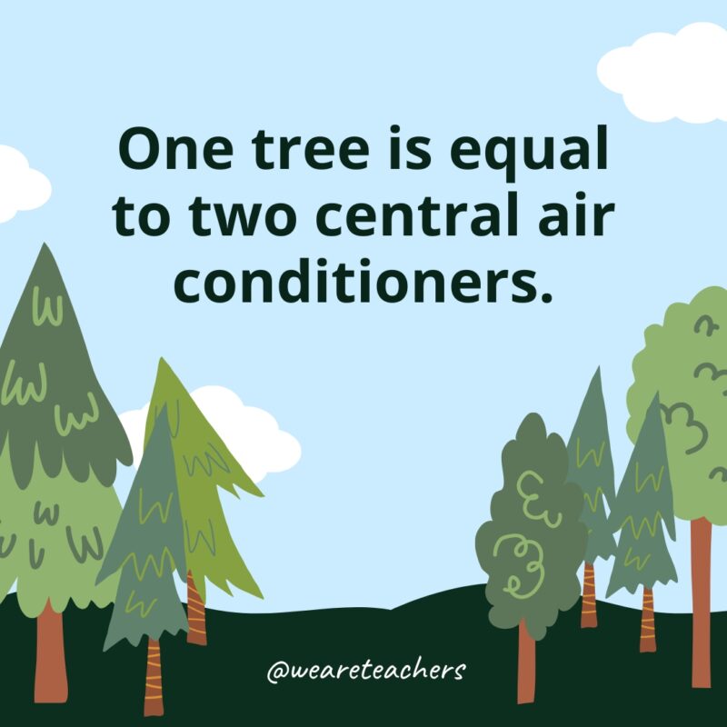One tree is equal to two central air conditioners.- Facts About Trees