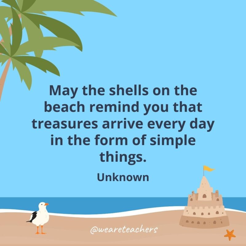May the shells on the beach remind you that treasures arrive every day in the form of simple things.- beach quotes
