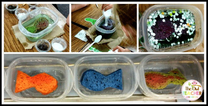 7 Genius Research Projects for PreK-3 Students You Will Definitely Want to Try 