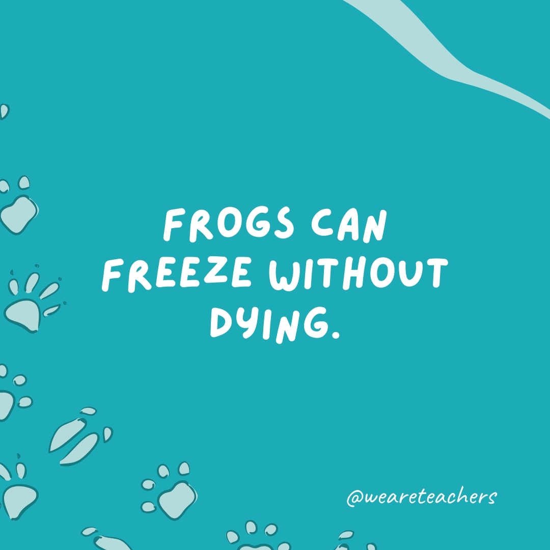 Frogs can freeze without dying.  