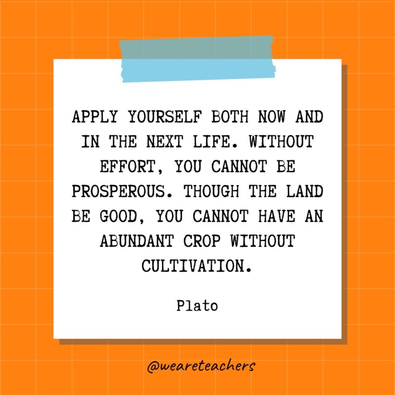 Apply yourself both now and in the next life. Without effort, you cannot be prosperous. Though the land be good, you cannot have an abundant crop without cultivation. - Plato- quotes about success