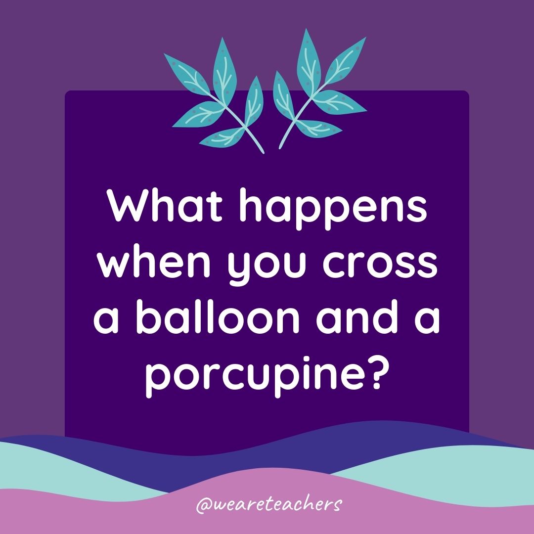 Animal Jokes for Kids