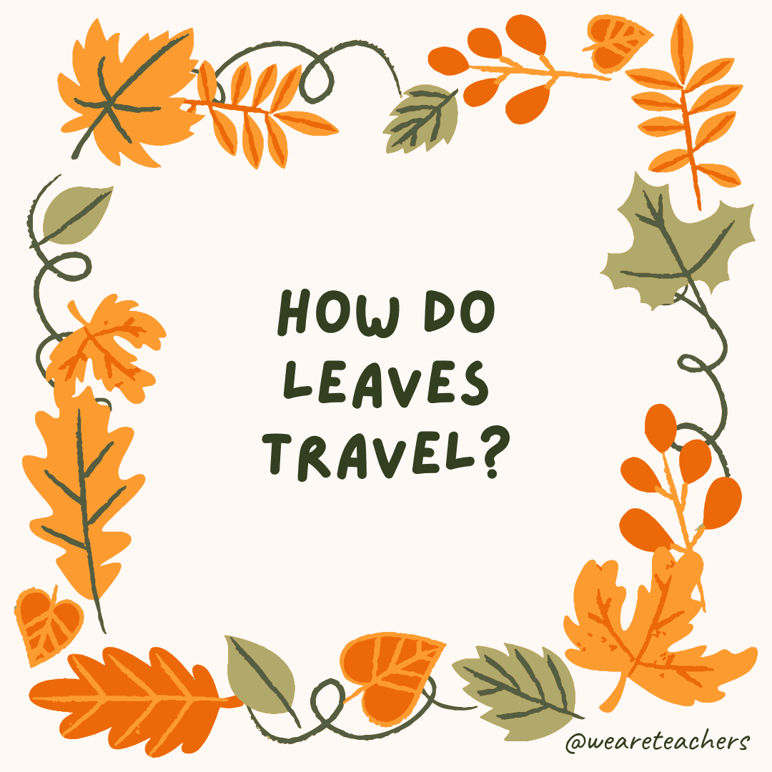 Fall Jokes an image of a fall joke surrounded by fall leaves and vines