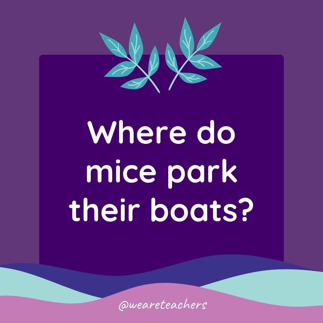 Animal Jokes for Kids