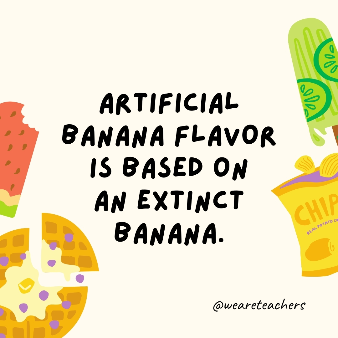 Artificial banana flavor is based on an extinct banana.