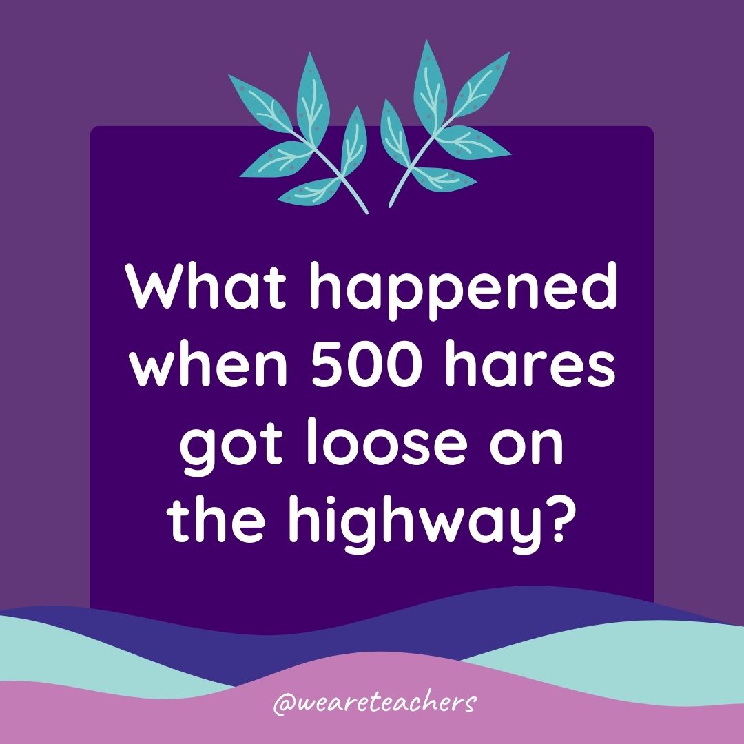 Animal Jokes for Kids