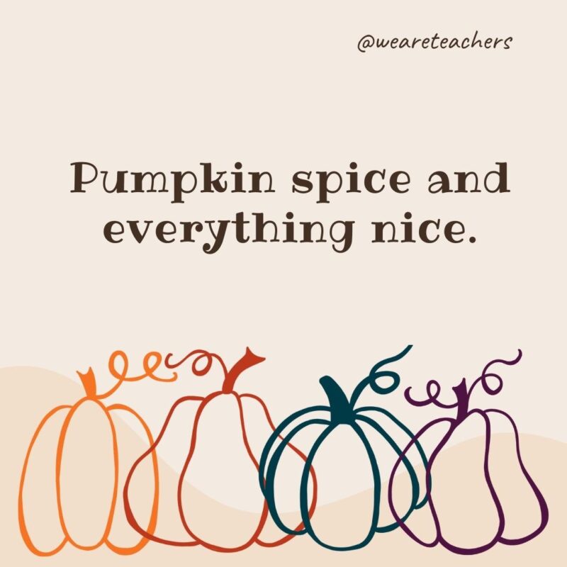 Pumpkin spice and everything nice.