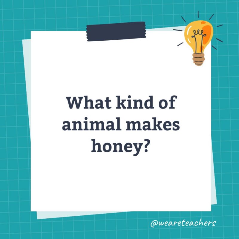 an image of a science trivia question for kids that states: What kind of animal makes honey?