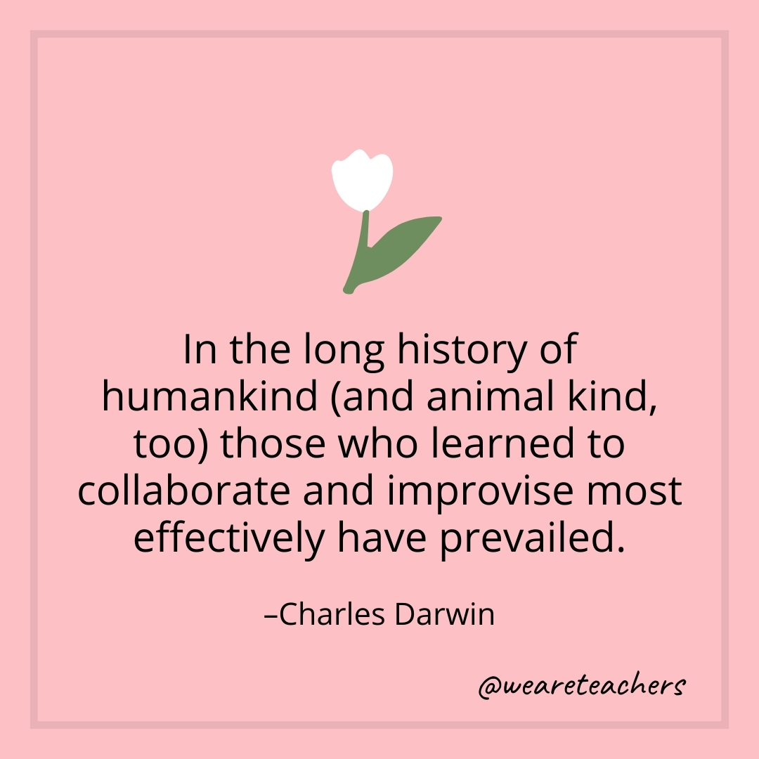 In the long history of humankind (and animal kind, too) those who learned to collaborate and improvise most effectively have prevailed. – Charles Darwin- teamwork quotes