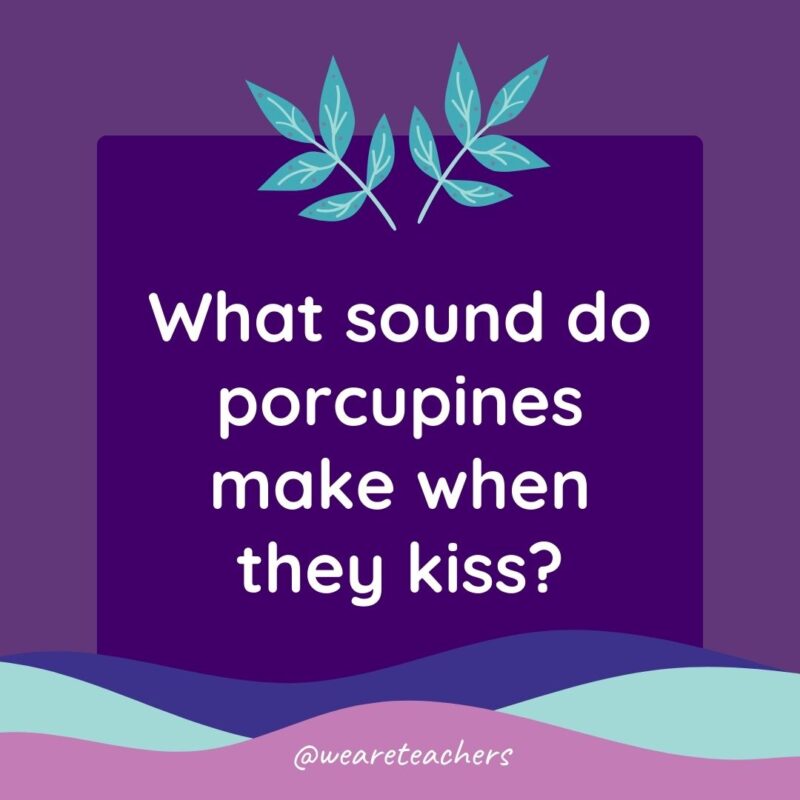 Animal Jokes for Kids